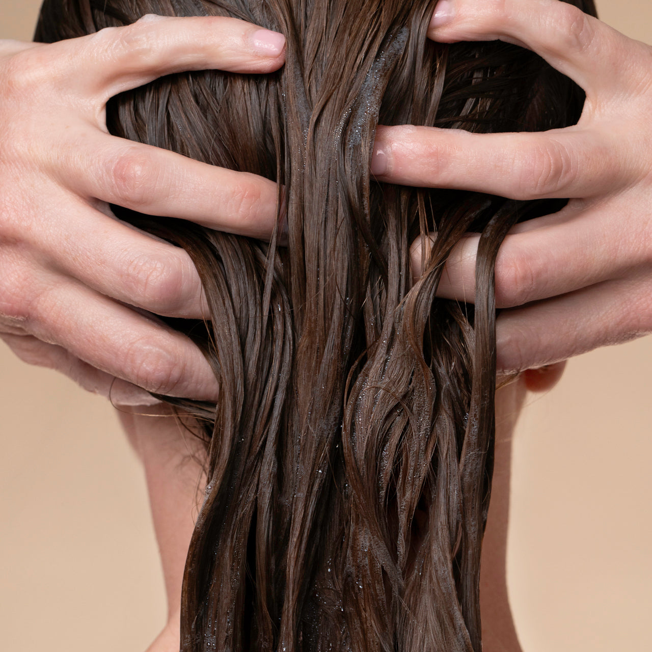 505886-505909-505923-505947-507873-505961-LiquidShampoo-Model-2-1280x1280px-1.jpg